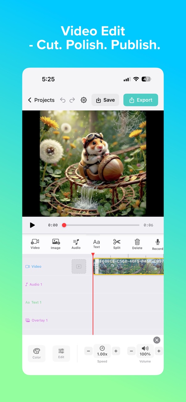Aigli Photo & Video Editor - Video Editing Interface